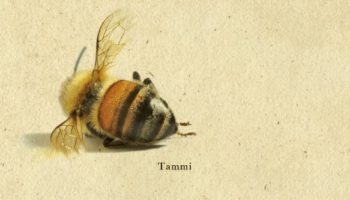 Maja Lunde: Mehiläisten historia